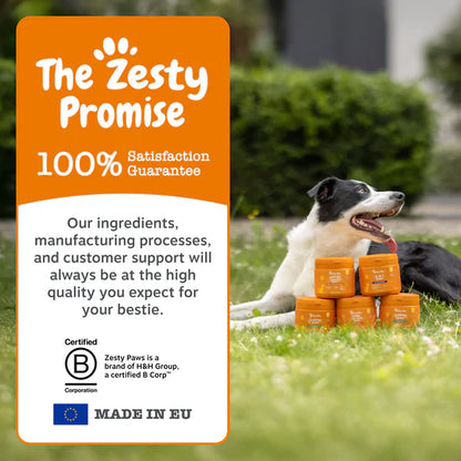 Zesty Paws Scoot Away Anal Gland Support Chews
