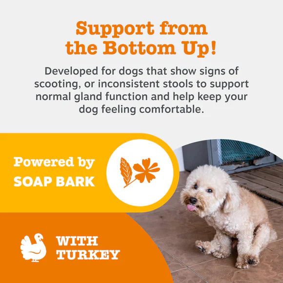 Zesty Paws Scoot Away Anal Gland Support Chews