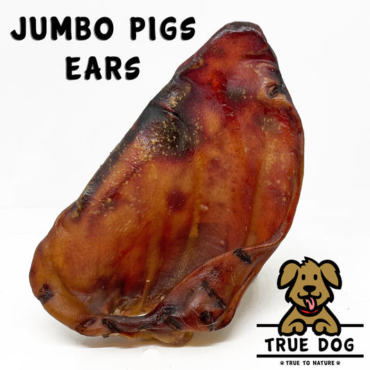 Jumbo Pigs Ears